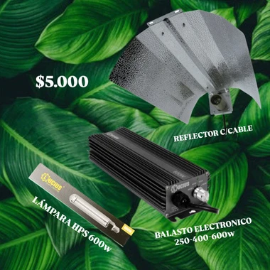 foto Kit Iluminacion 600w