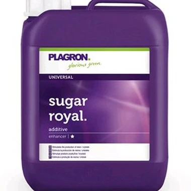 foto Sugar Royal 5L