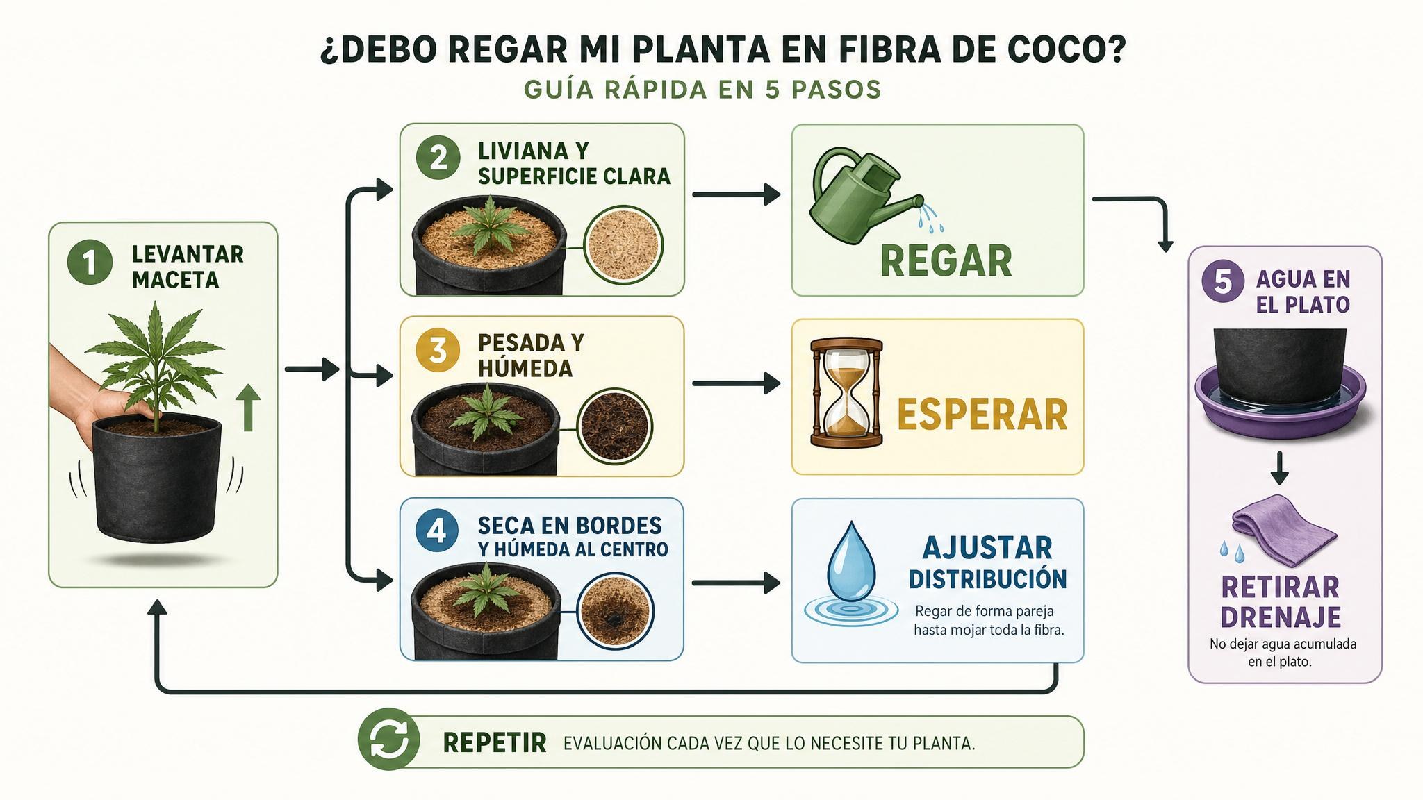 Flujograma de decisión para regar coco en maceta según peso, humedad visible, distribución del agua y drenaje.