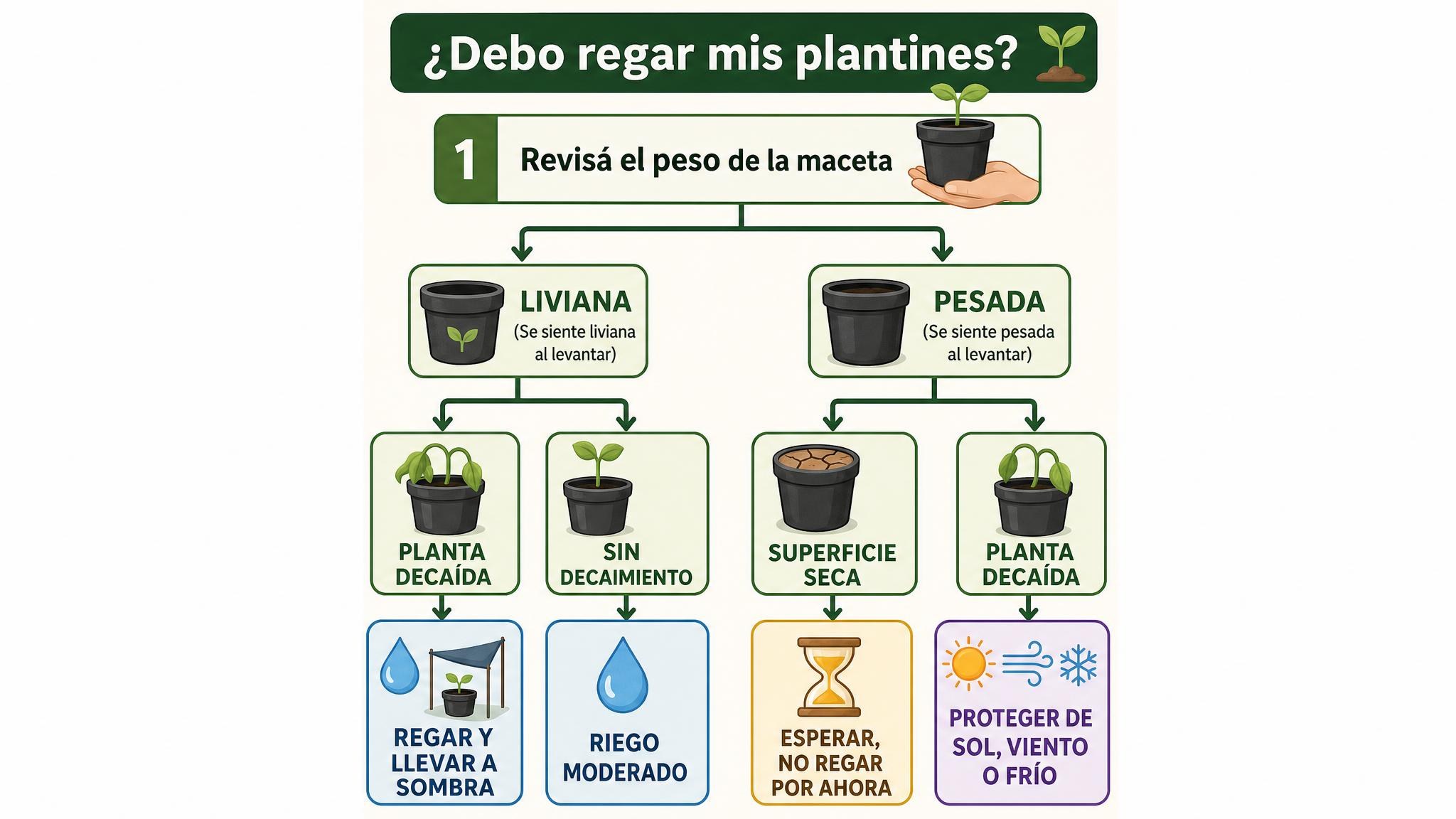 Diagrama para decidir si regar o proteger un plantín según el peso de la maceta y el estado de la planta.