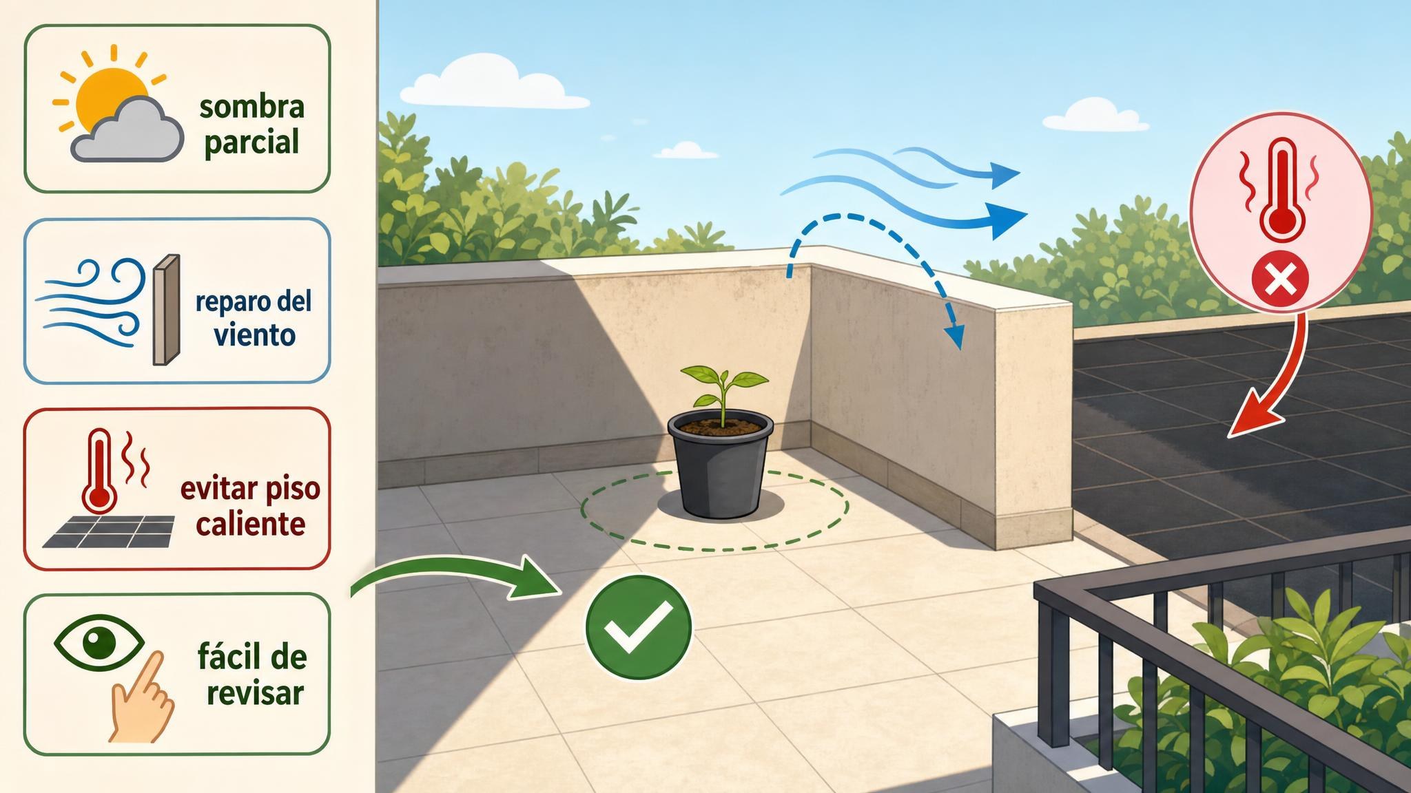Diagrama de un lugar adecuado para endurecer plantines, con sombra parcial, reparo del viento y piso no recalentado.