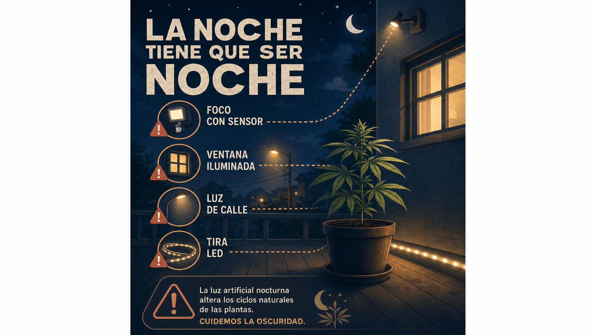 Checklist visual de fuentes comunes de contaminación lumínica en un patio durante la noche.