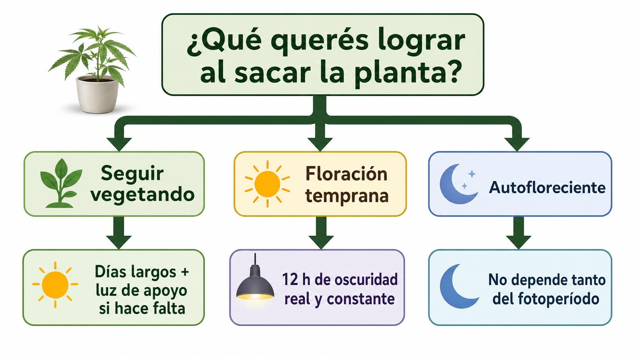 Diagrama de decisión para elegir manejo de luz según el objetivo al mover plantas al exterior.