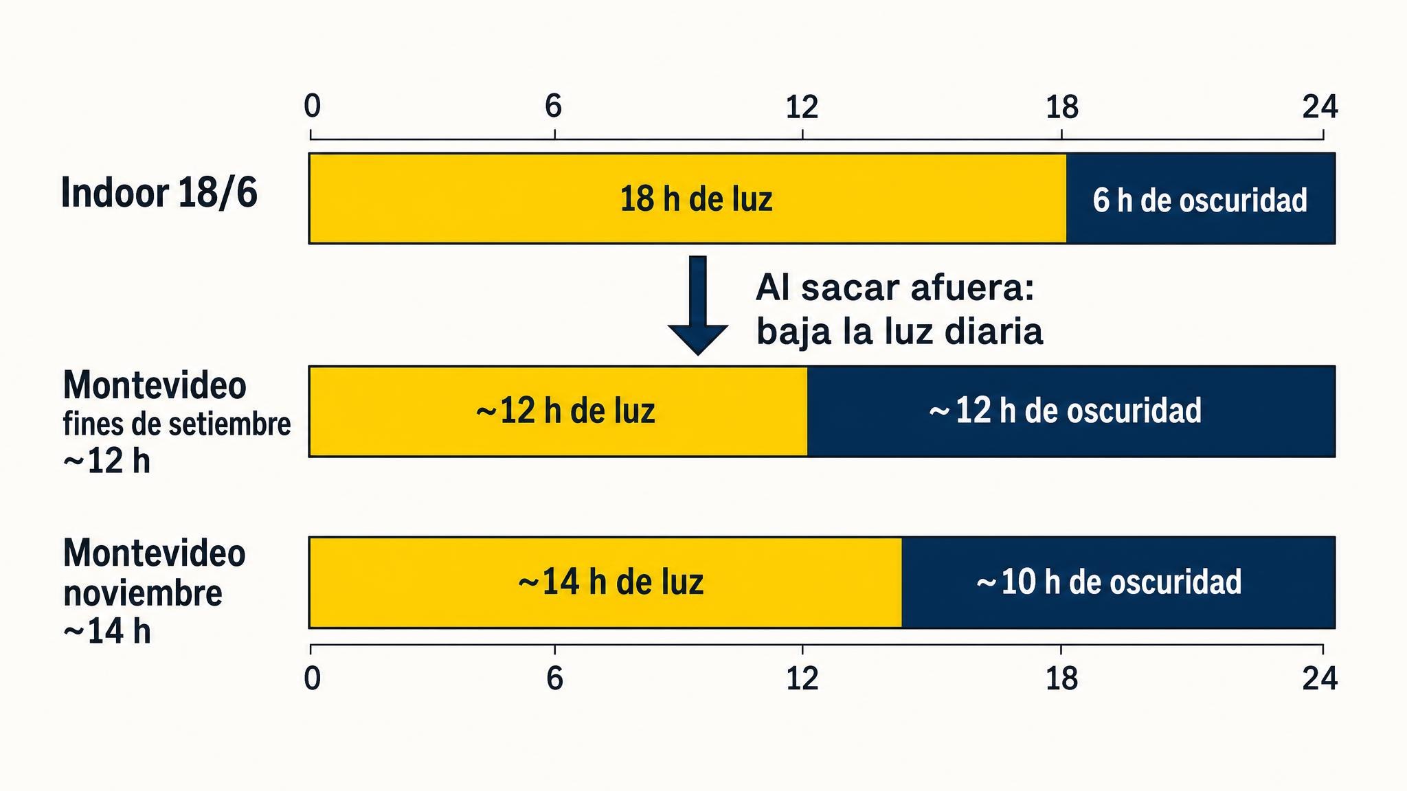Comparación visual entre un ciclo indoor 18/6 y las horas de luz natural en primavera en Montevideo.