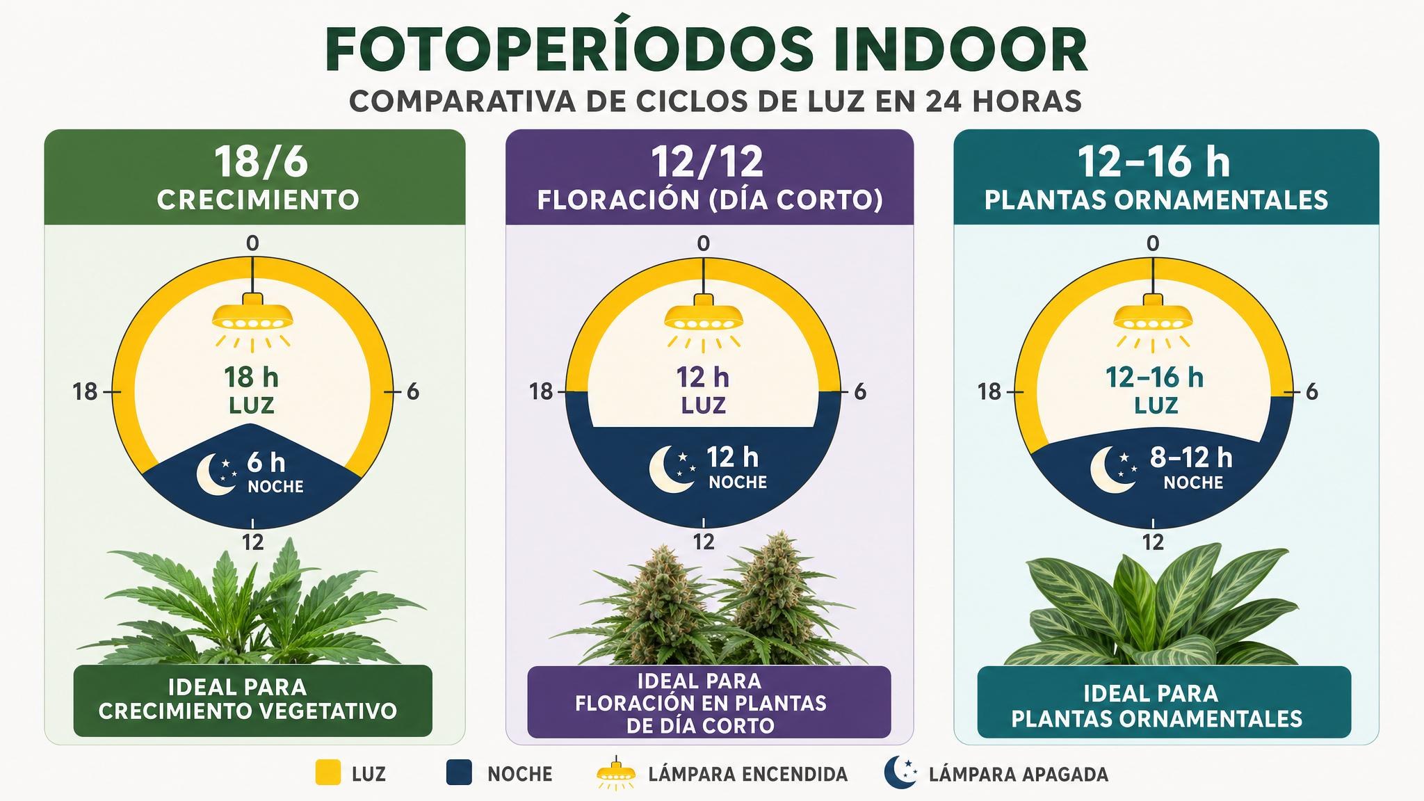 Comparación visual de ciclos indoor 18/6, 12/12 y 12 a 16 horas de luz.