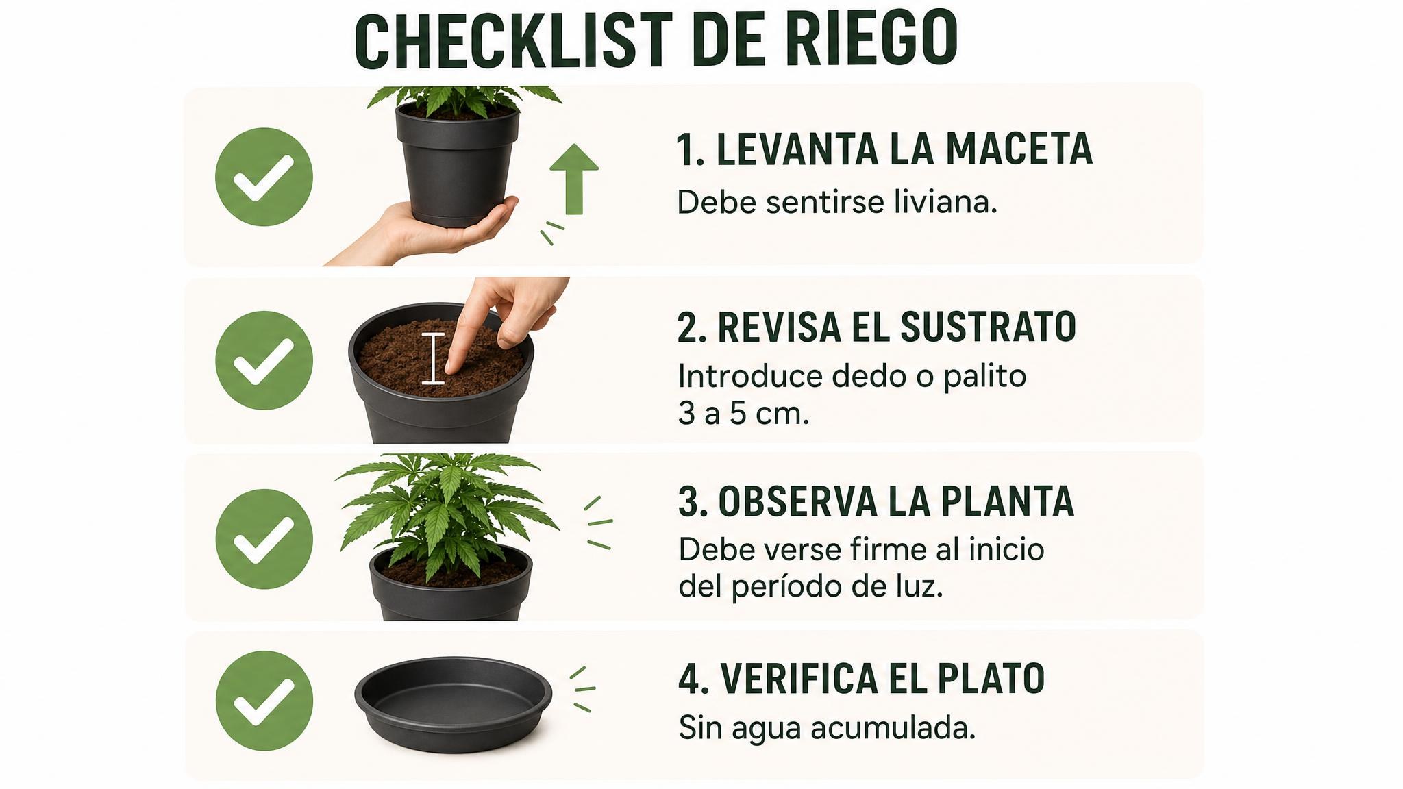 Checklist visual con cuatro controles antes de regar en invierno: peso, humedad del sustrato, postura de la planta y plato vacío.