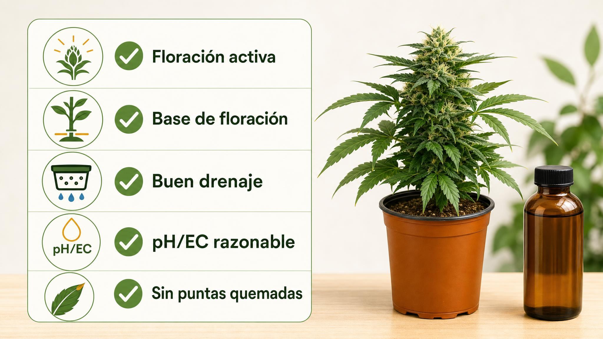 Checklist visual con controles antes de aplicar un booster PK: floración, base, drenaje, pH/EC y puntas sanas.