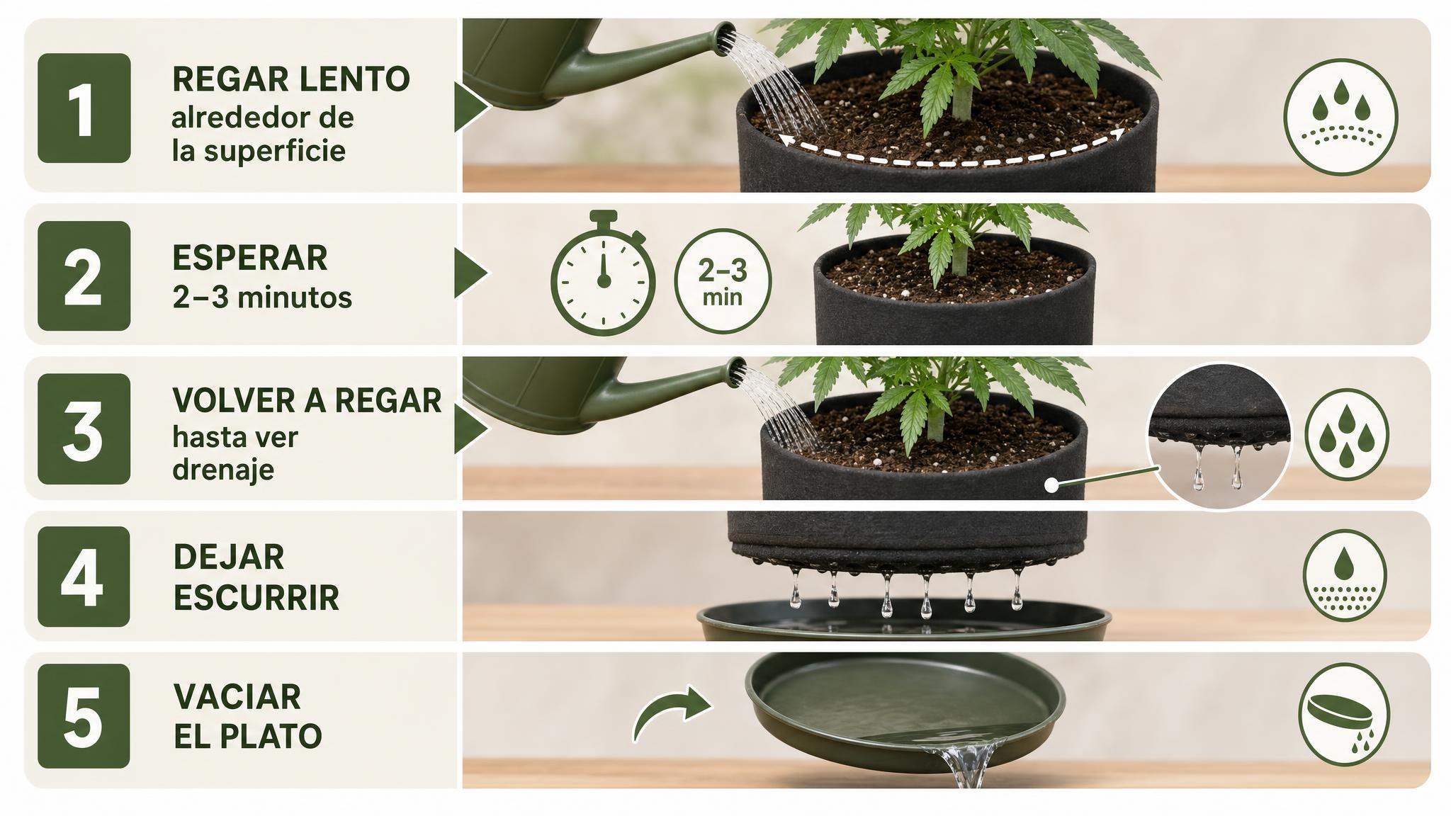Checklist de cinco pasos para regar una maceta de forma completa sin dejar agua estancada.