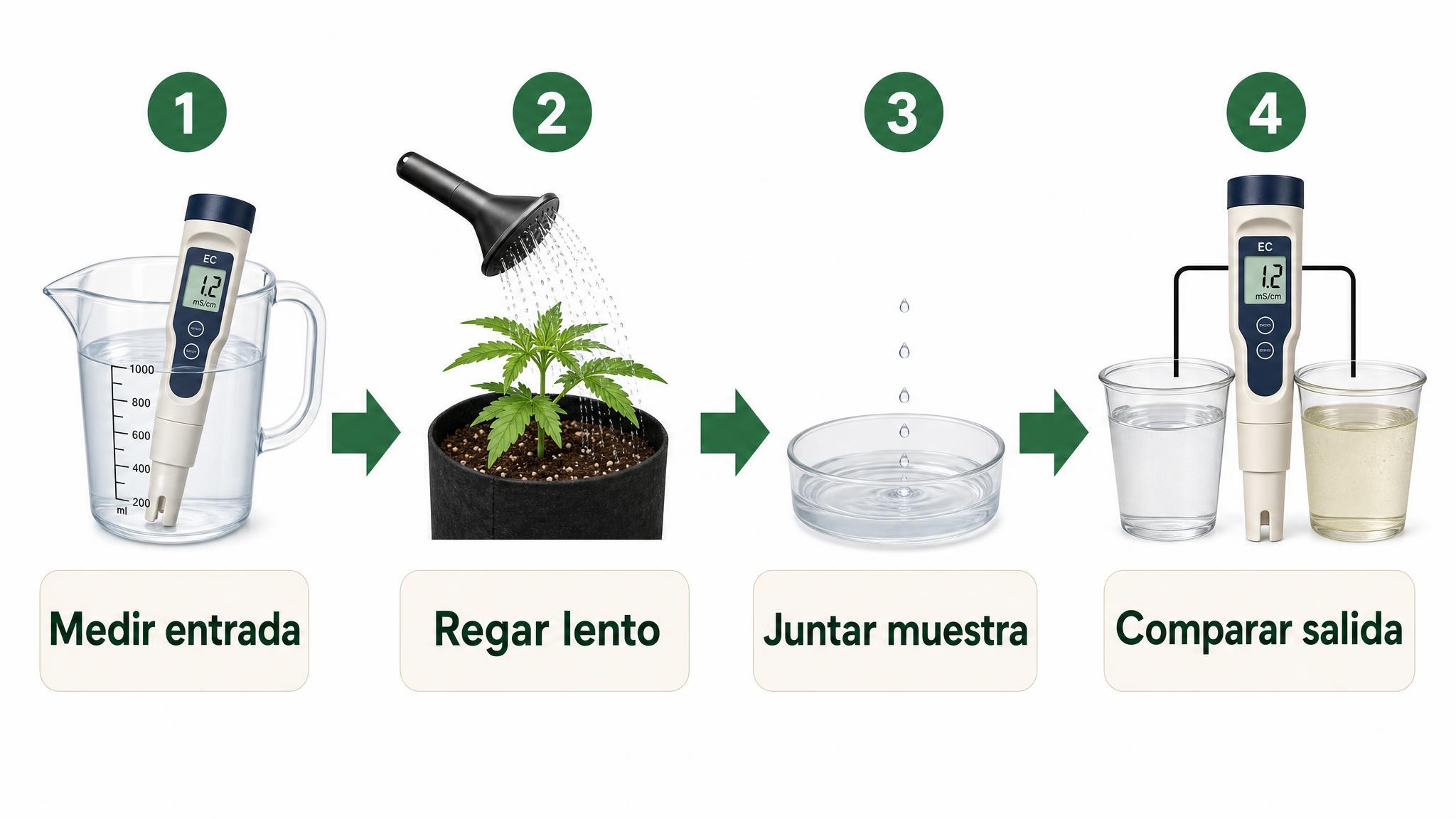 Flujo de cuatro pasos para medir la escorrentía: medir entrada, regar lento, juntar muestra y comparar EC de salida.