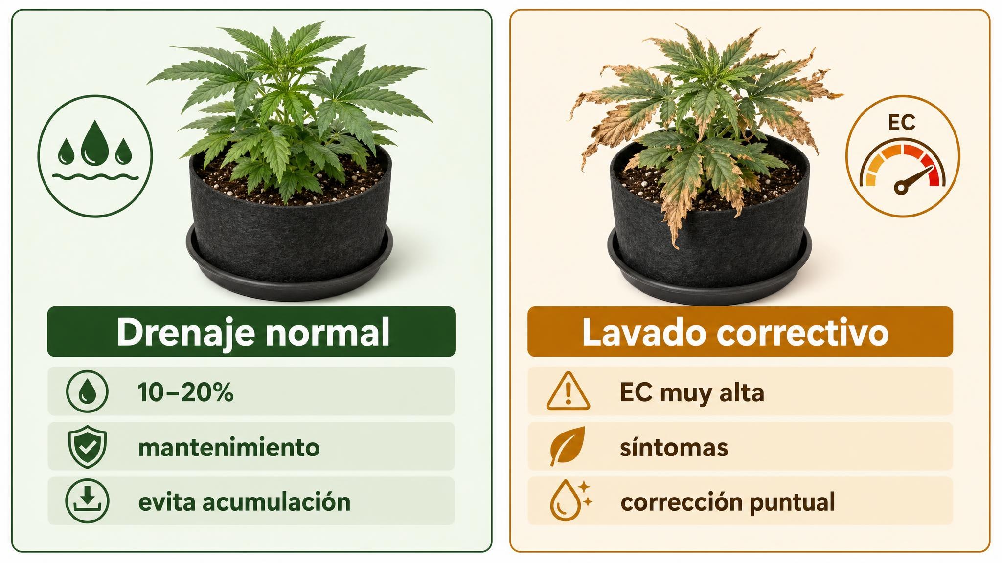 Comparación visual entre drenaje normal de mantenimiento y lavado correctivo por acumulación de sales.