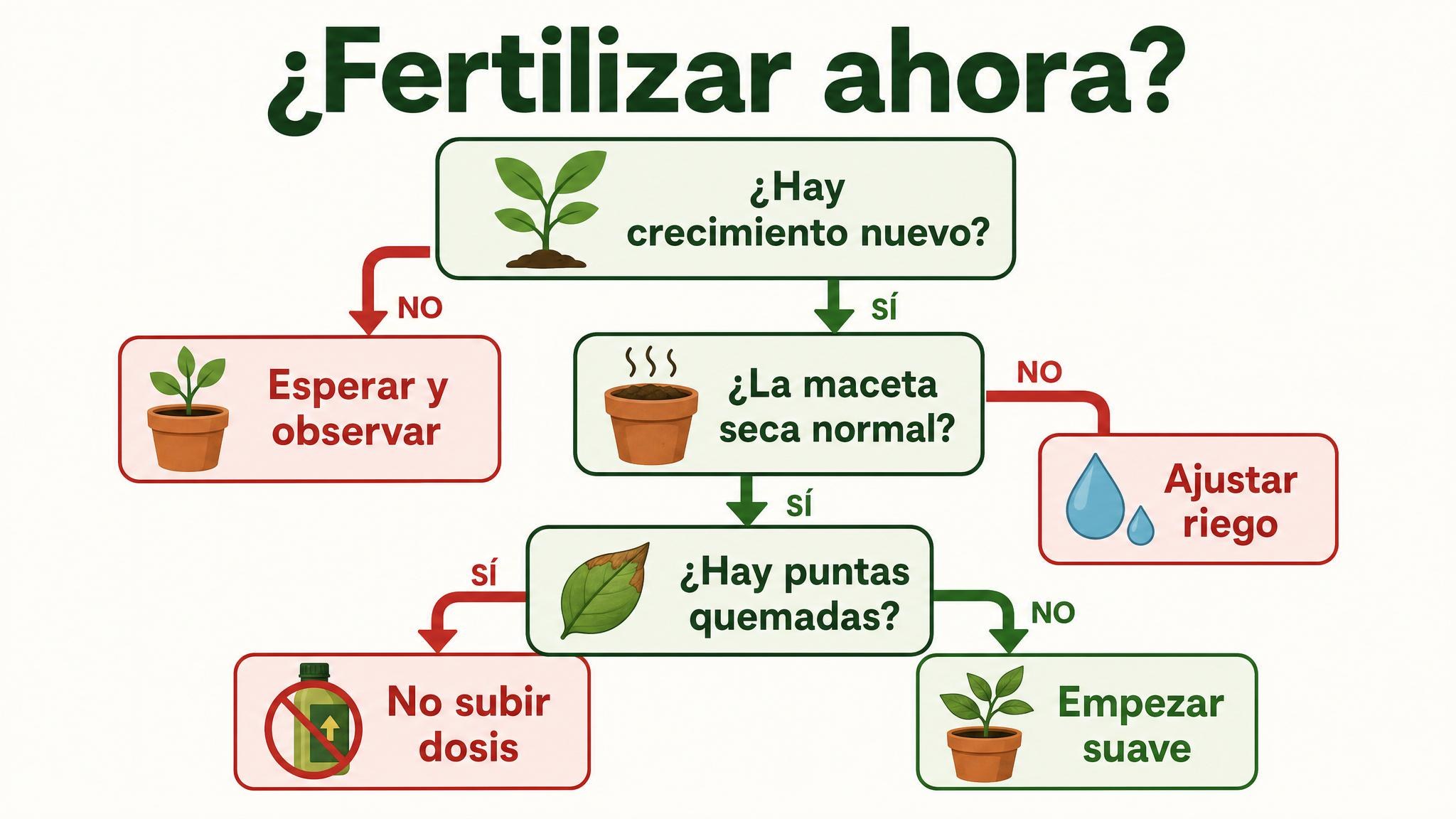 Diagrama de decisión para saber si conviene empezar a fertilizar una planta joven.