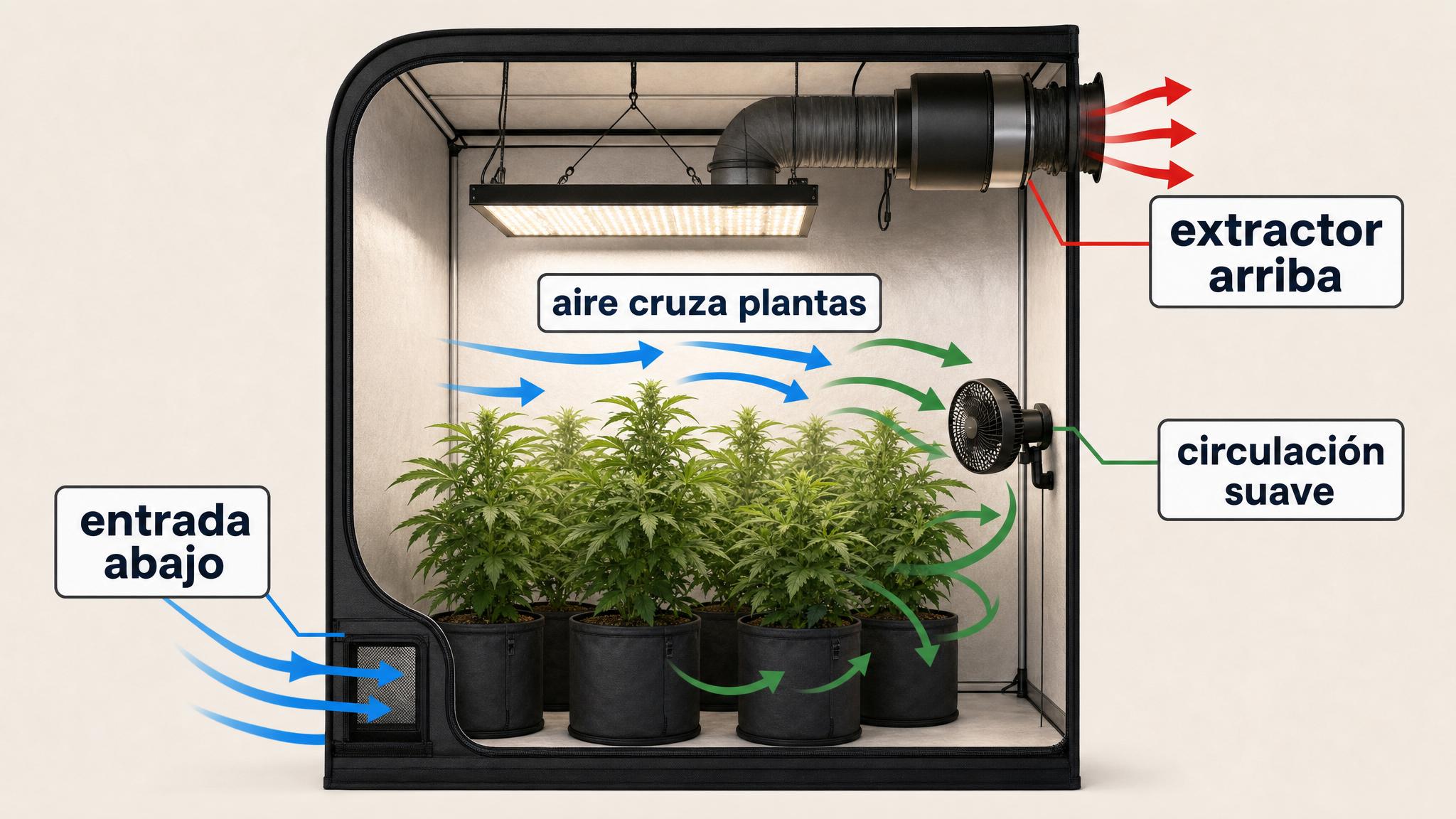 Diagrama de ventilación indoor con entrada baja, extractor alto y circulación interna suave a través de las plantas.