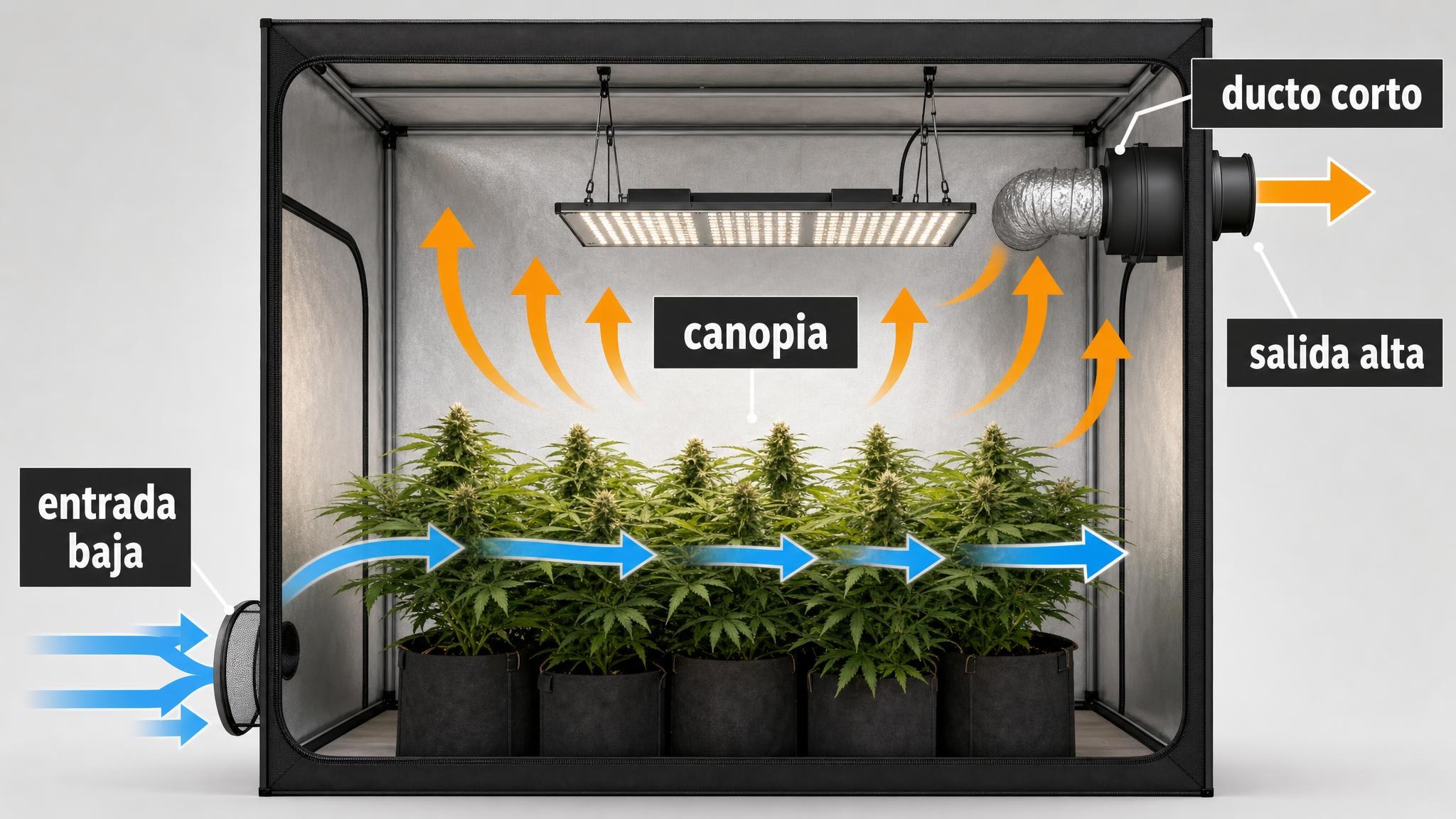 Diagrama de flujo de aire con entrada baja y extracción alta en una carpa indoor.