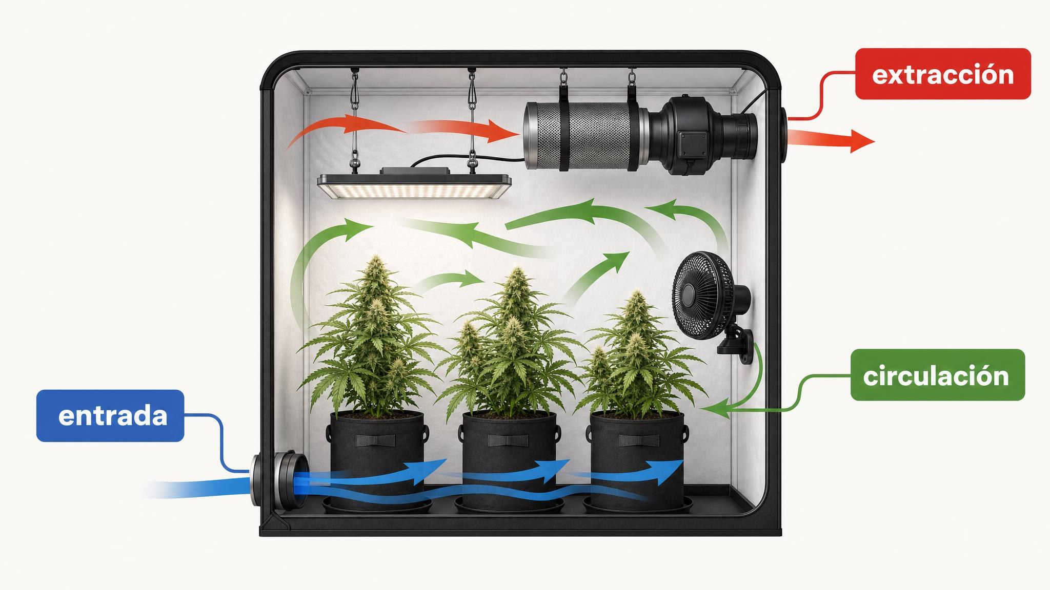 Diagrama de una carpa indoor con entrada de aire, circulación interna y extracción por filtro y extractor.