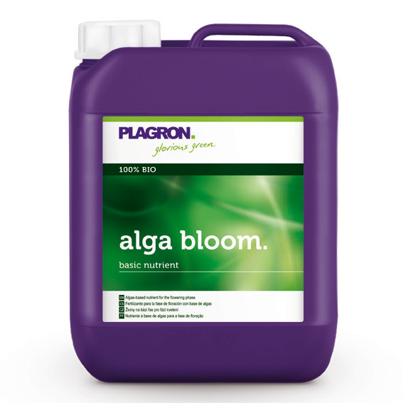 foto Alga Bloom 5L