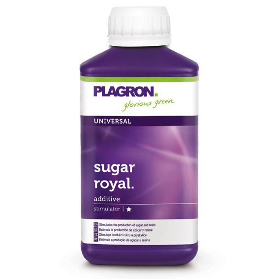 foto Sugar Royal 250ml