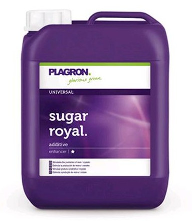 foto Sugar Royal 5L